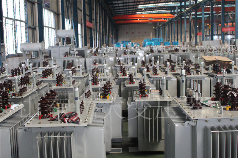 文成S22-800KVA/10KV